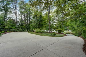 Front Yard