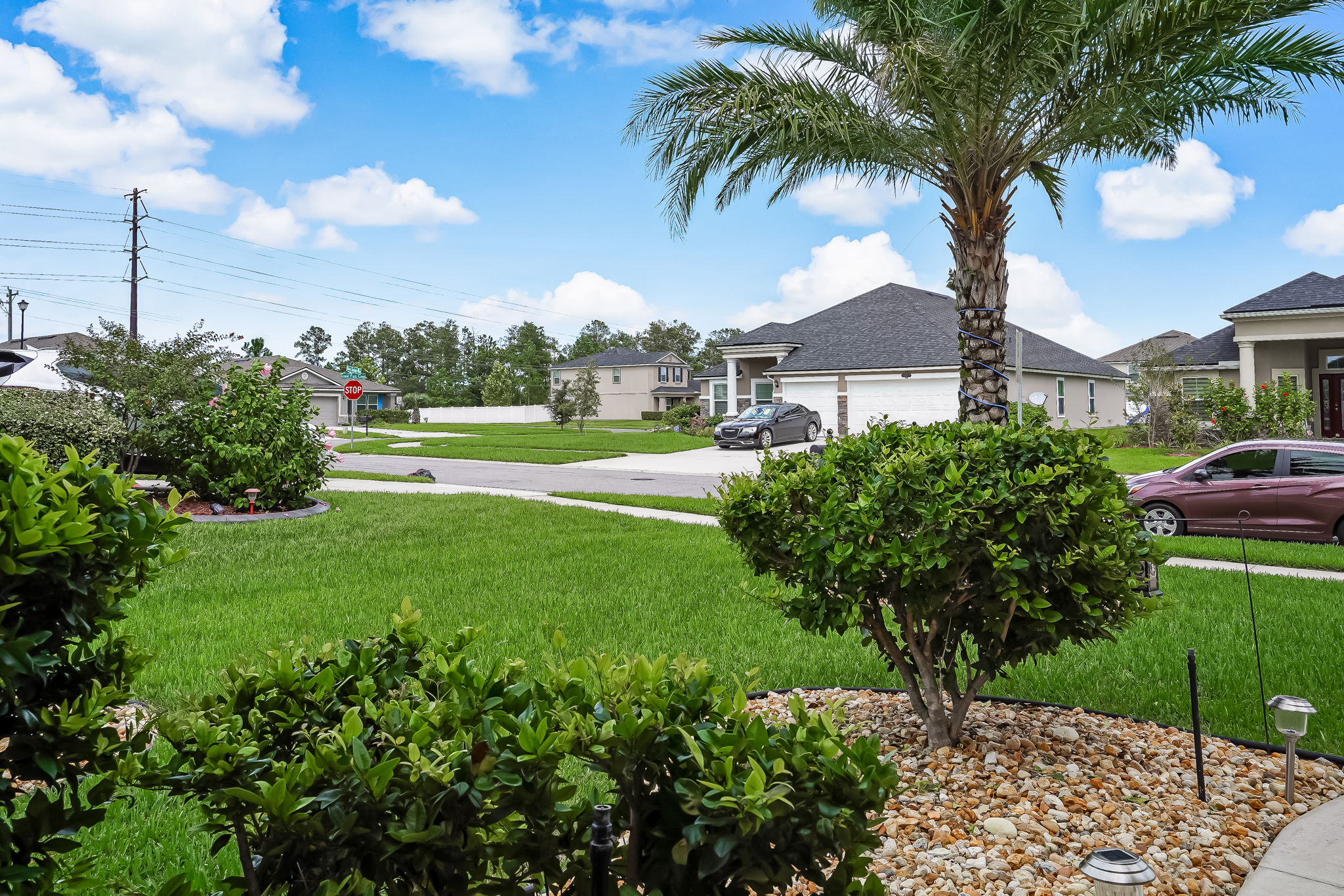Front Yard