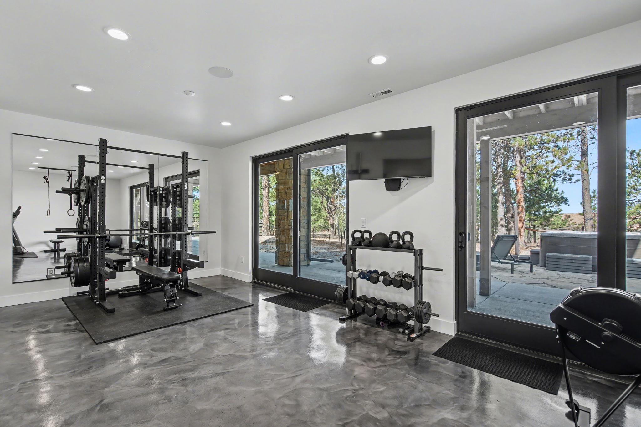 Exercise Room / Home Gym