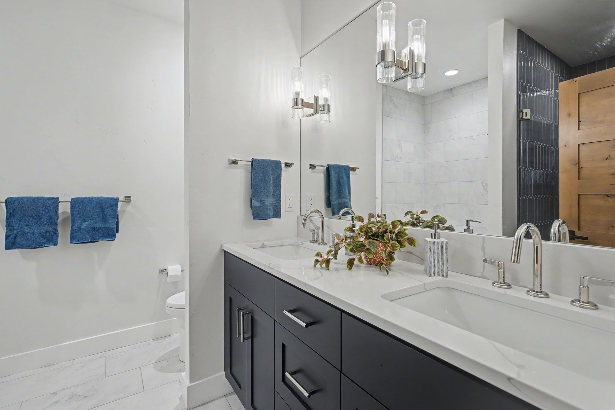 Lower Level Bathroom