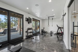 Exercise Room / Home Gym