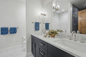 Lower Level Bathroom