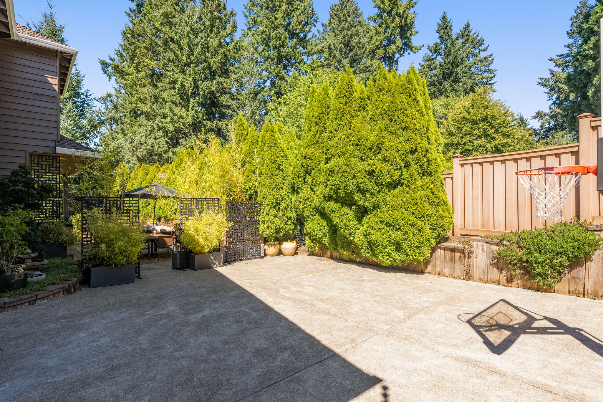 Backyard - Sport Court