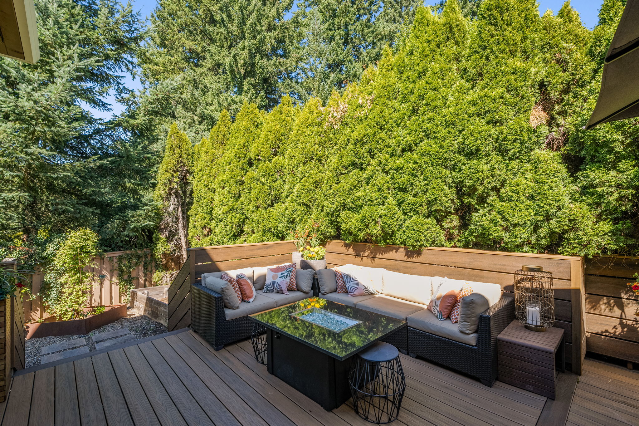 Backyard - Patio