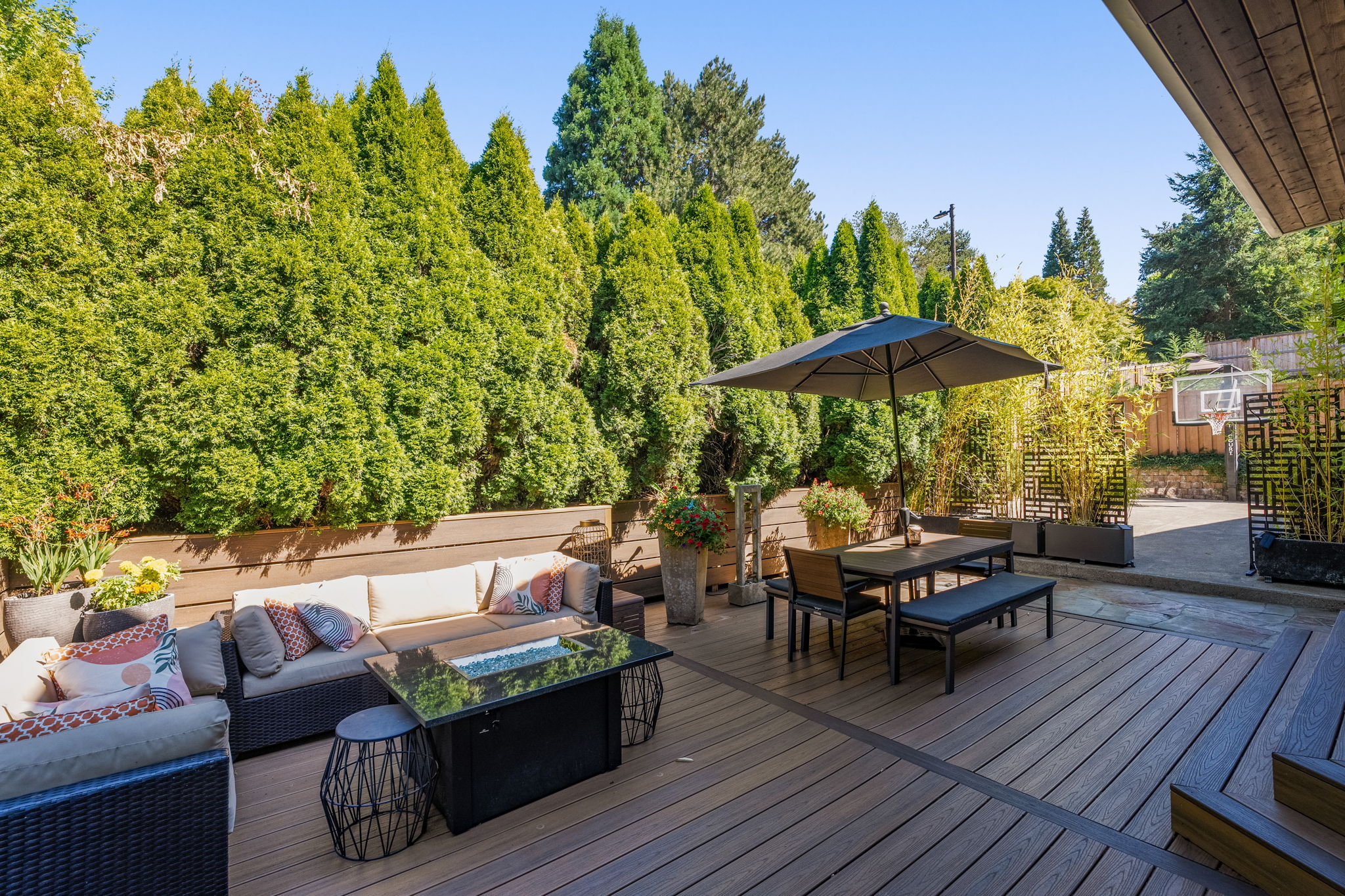 Backyard - Patio