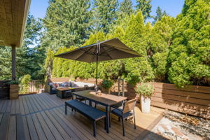 Backyard - Patio