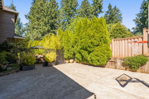 Backyard - Sport Court