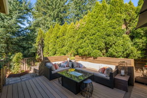 Backyard - Patio