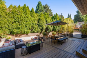 Backyard - Patio