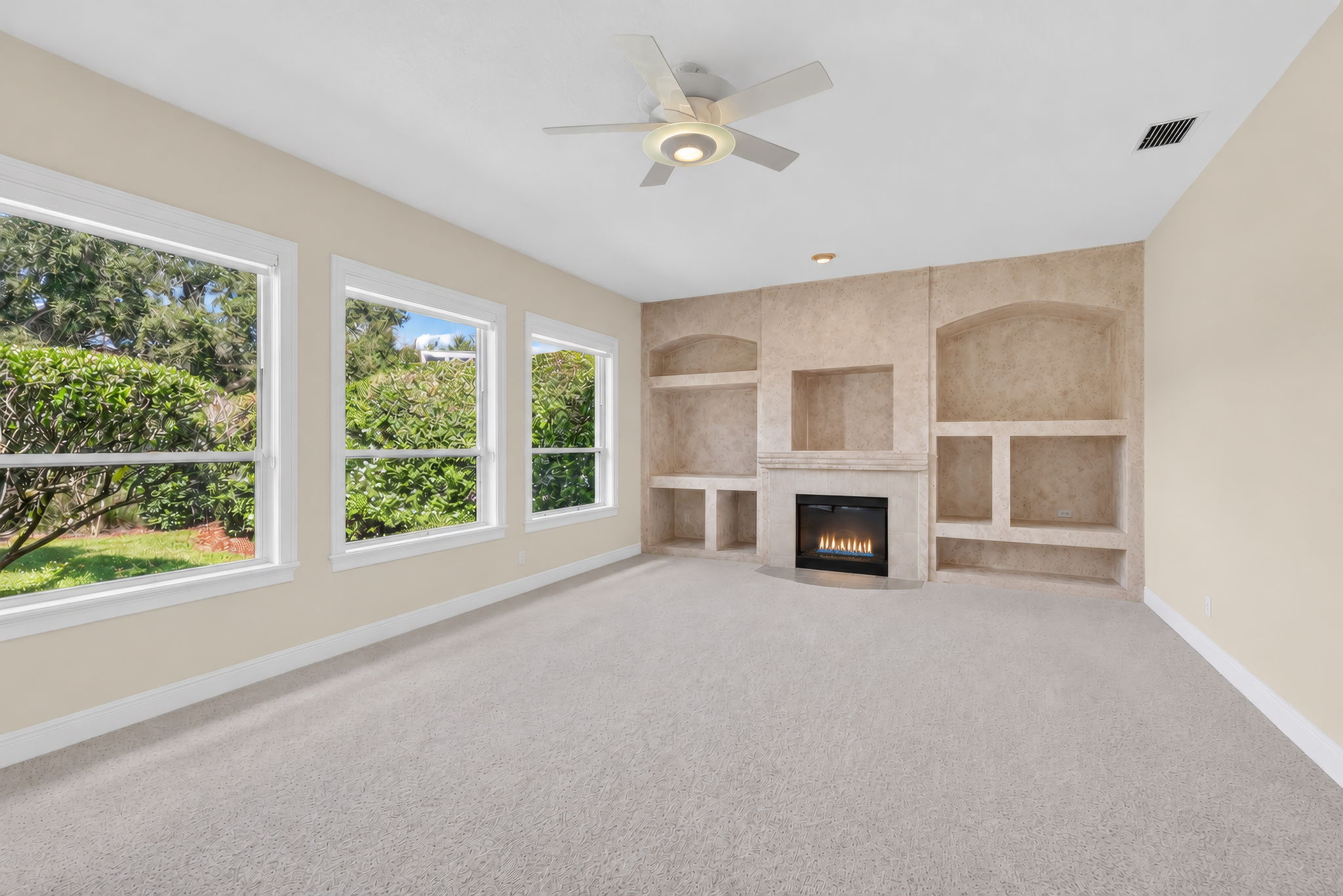 GAS FIREPLACE