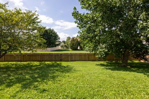  Photo 39