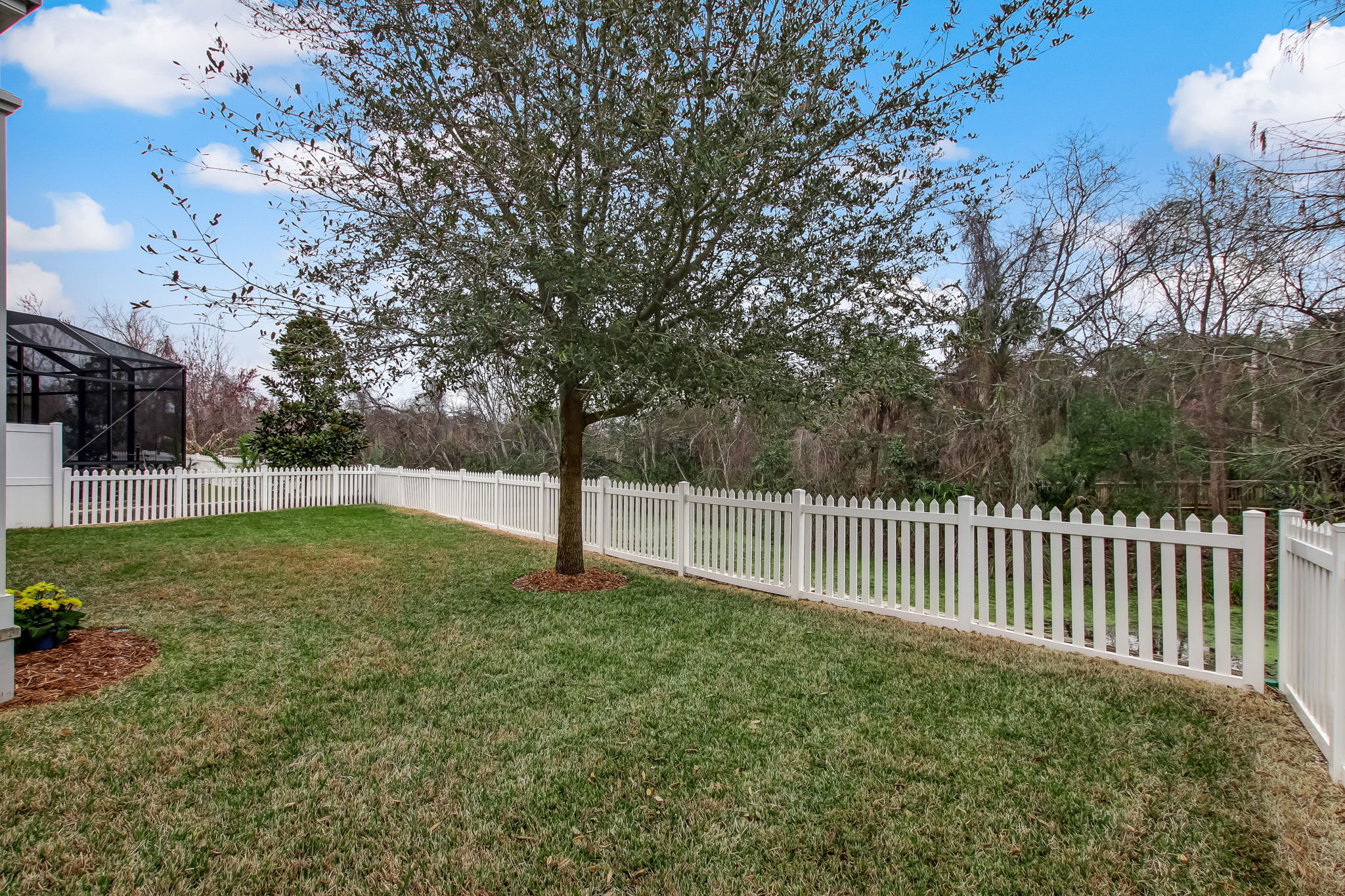 Backyard