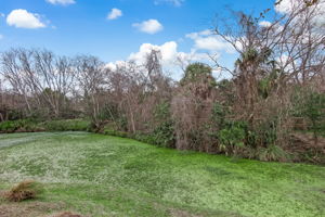 Back View