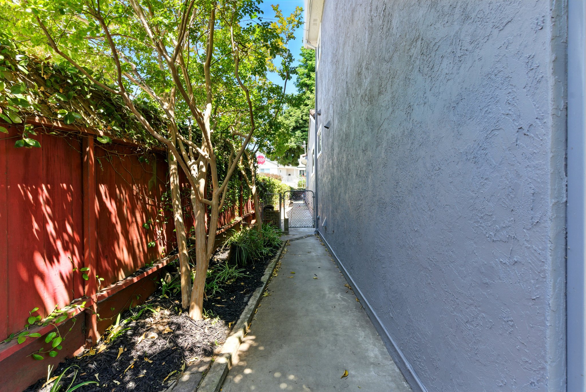  Photo 42
