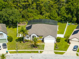 Bird-Eye View