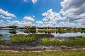 Backyard View