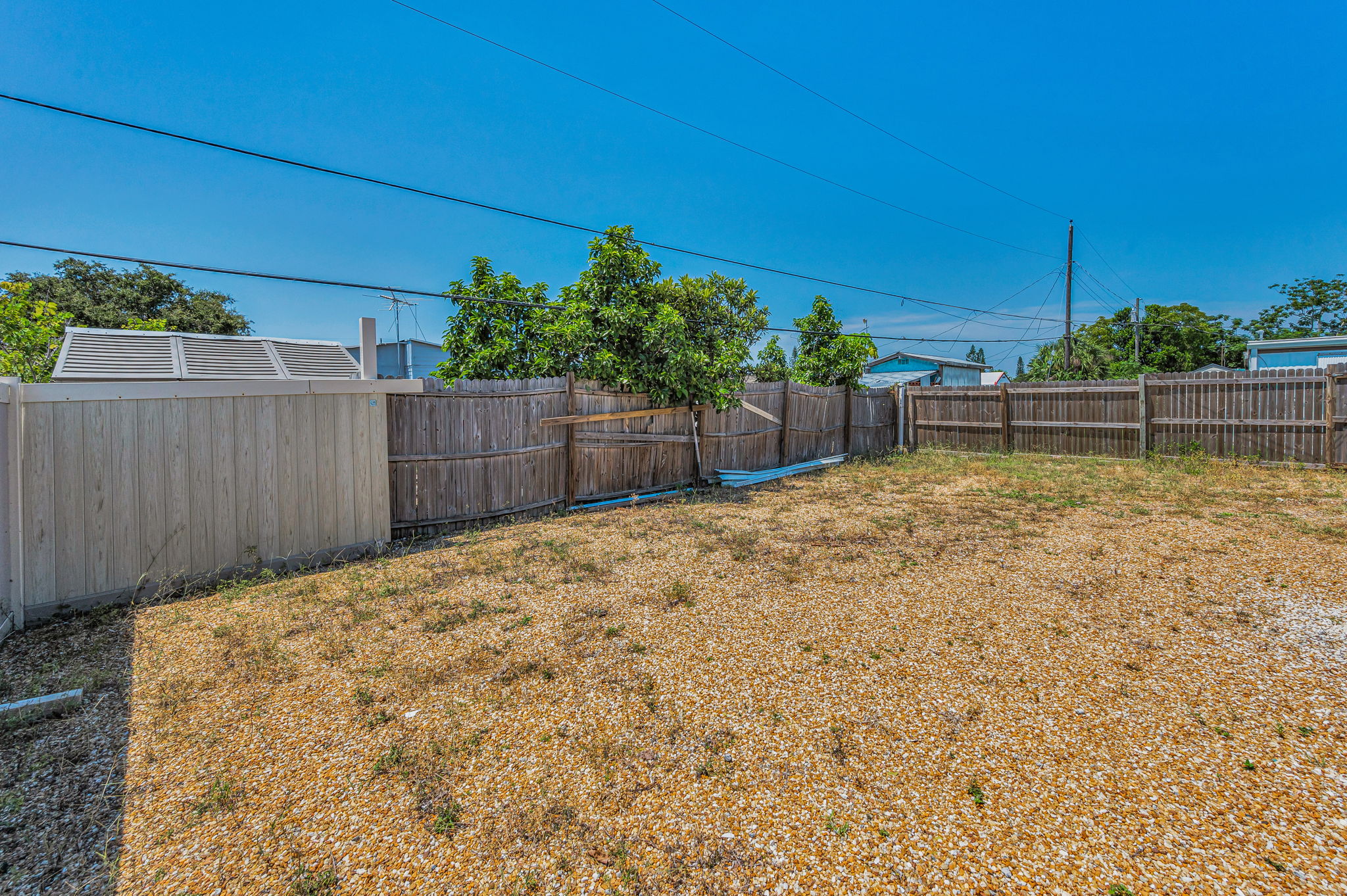 Backyard3