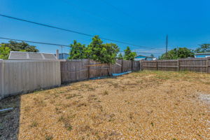 Backyard3