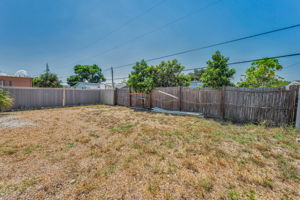 Backyard4