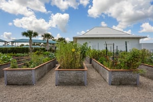 Coastal Shr Ter-1505-938.jpg