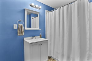 Lower Level Full Bath