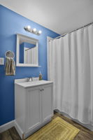 Lower Level Full Bath