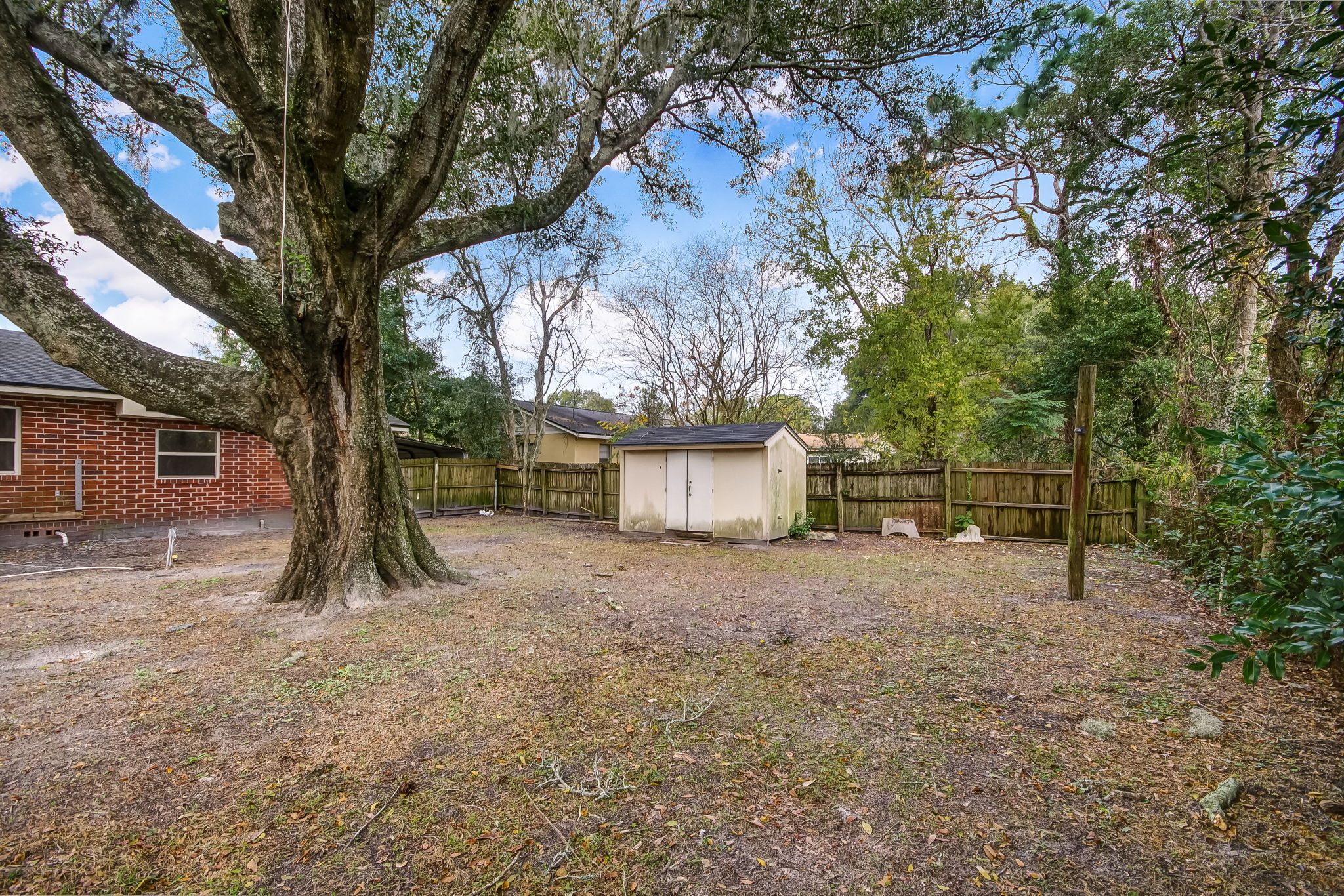 Back Yard