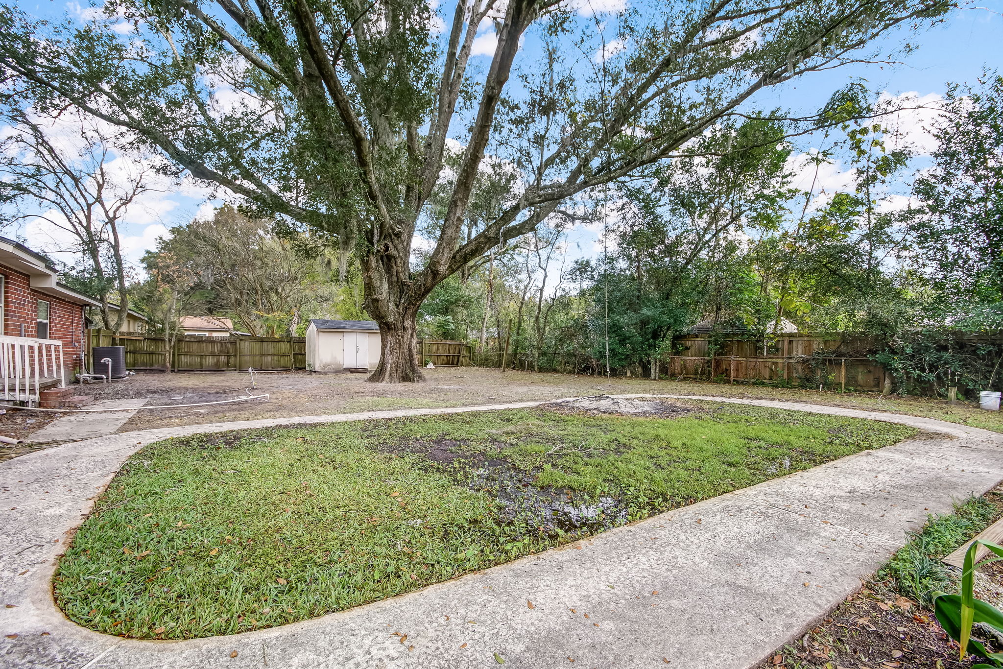 Back Yard