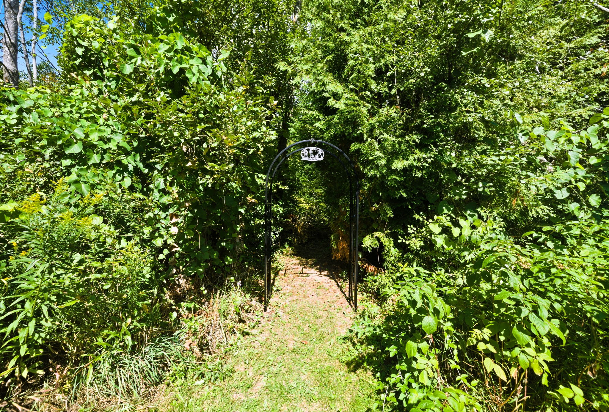  Photo 46