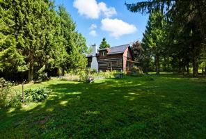  Photo 49