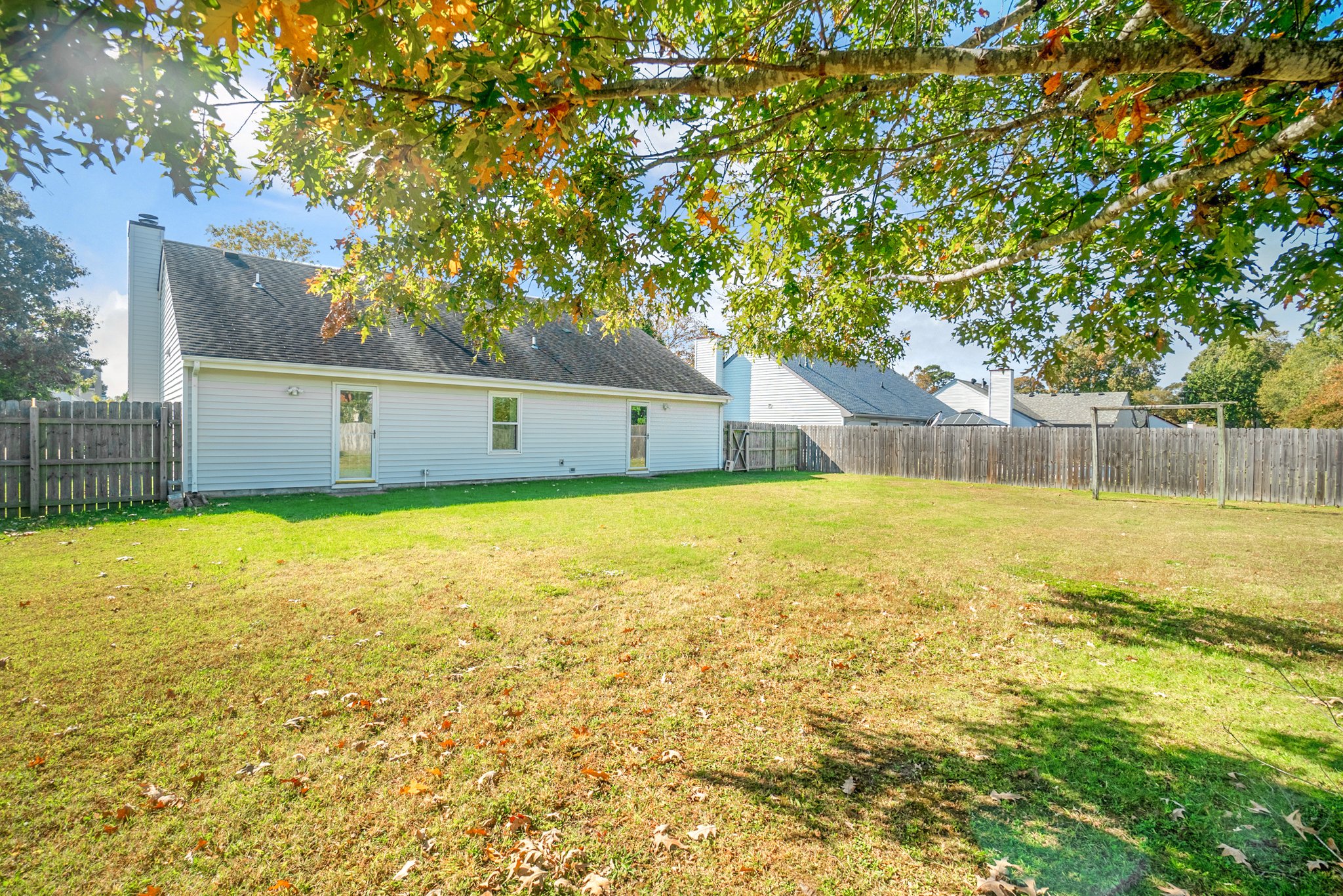 Back Yard