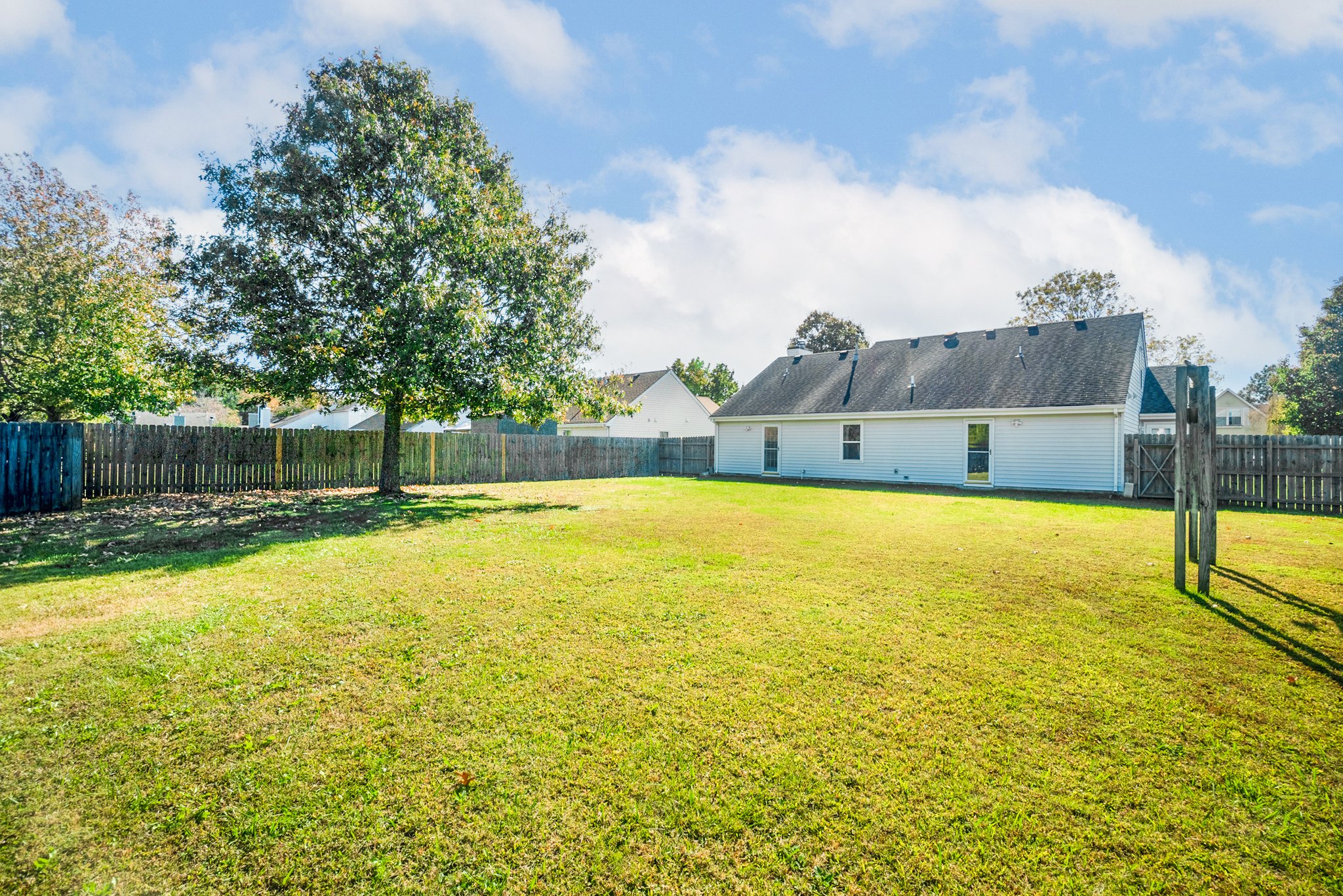 Back Yard