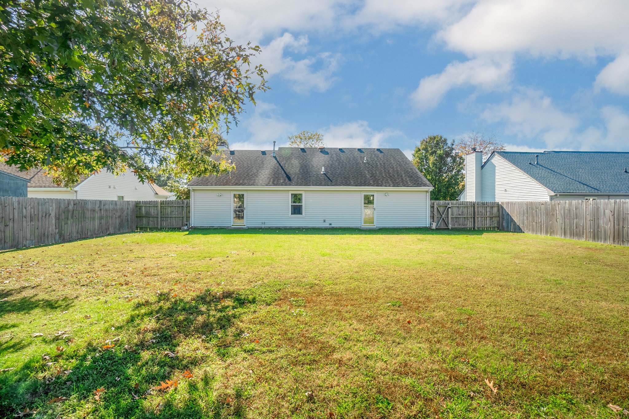 Back Yard
