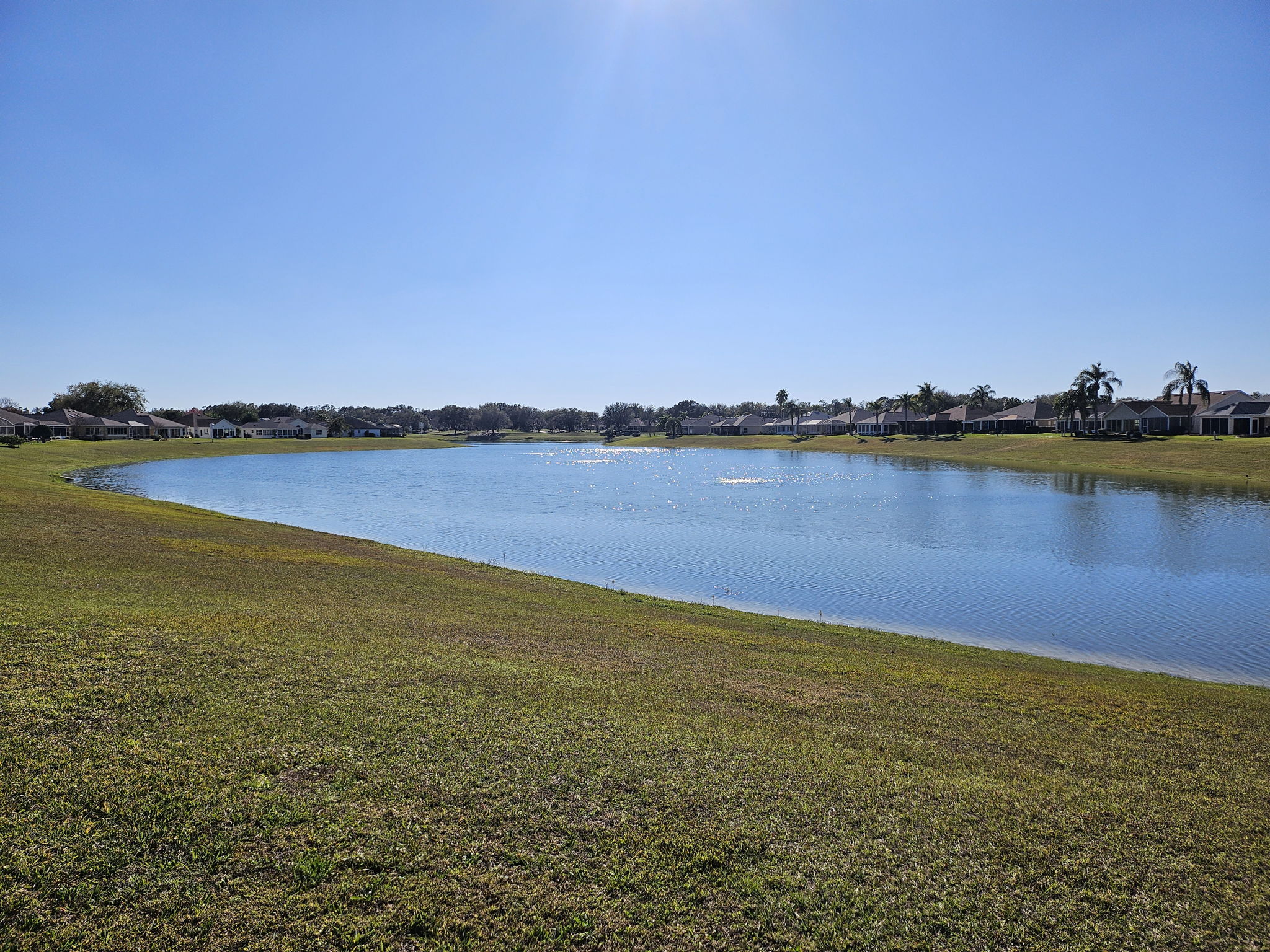 Pond View