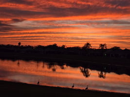 Sunset Water View
