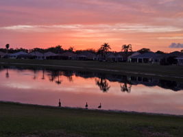 Sunset Water View