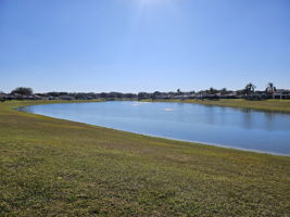 Pond View