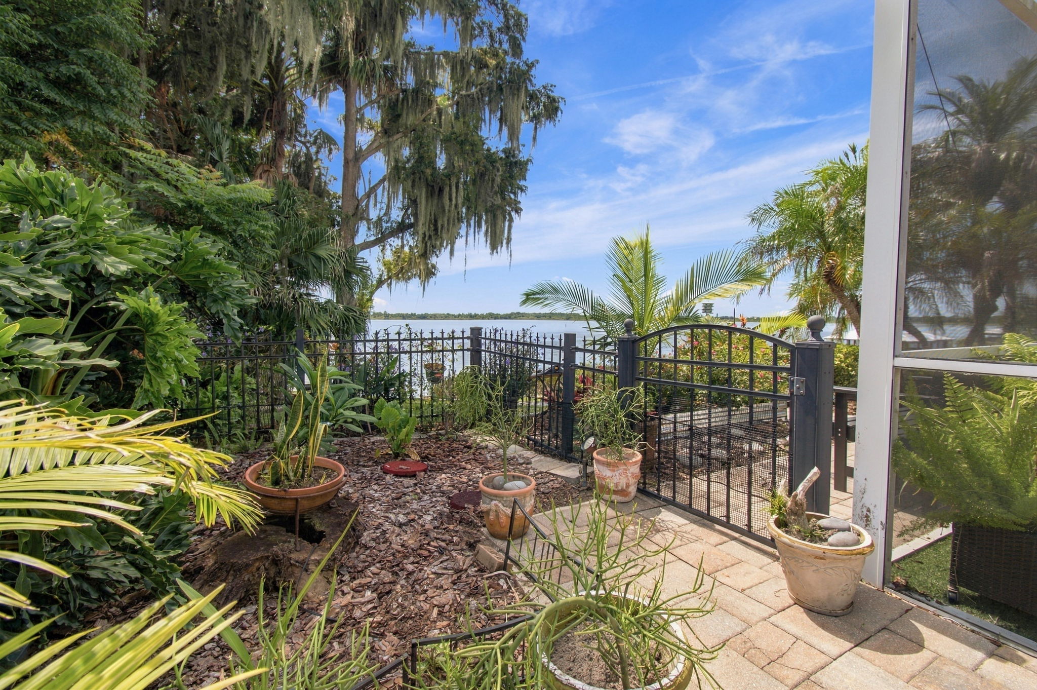 Side garden/dog run - Mature Landscape
