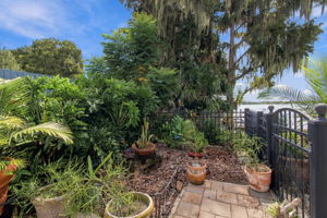 Side garden/dog run - Brick paved walkway