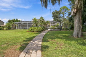 Back yard