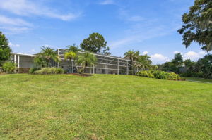 Back yard