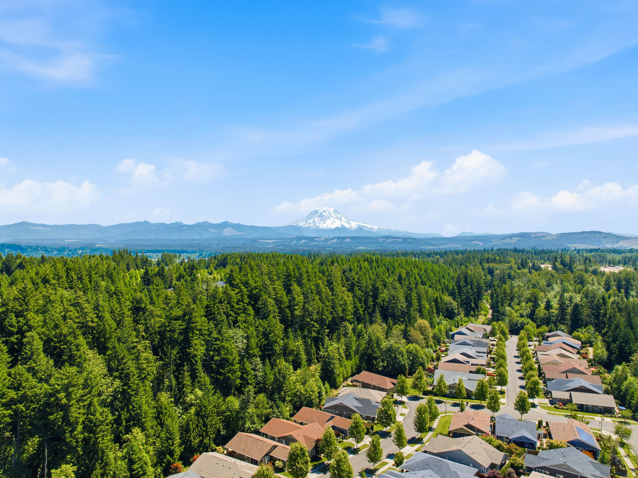 Aerial View. Distant mountain peaks rise above the surrounding treetops.