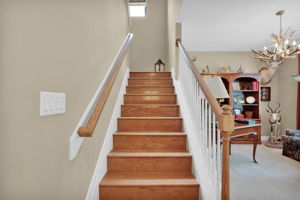  Photo 37
