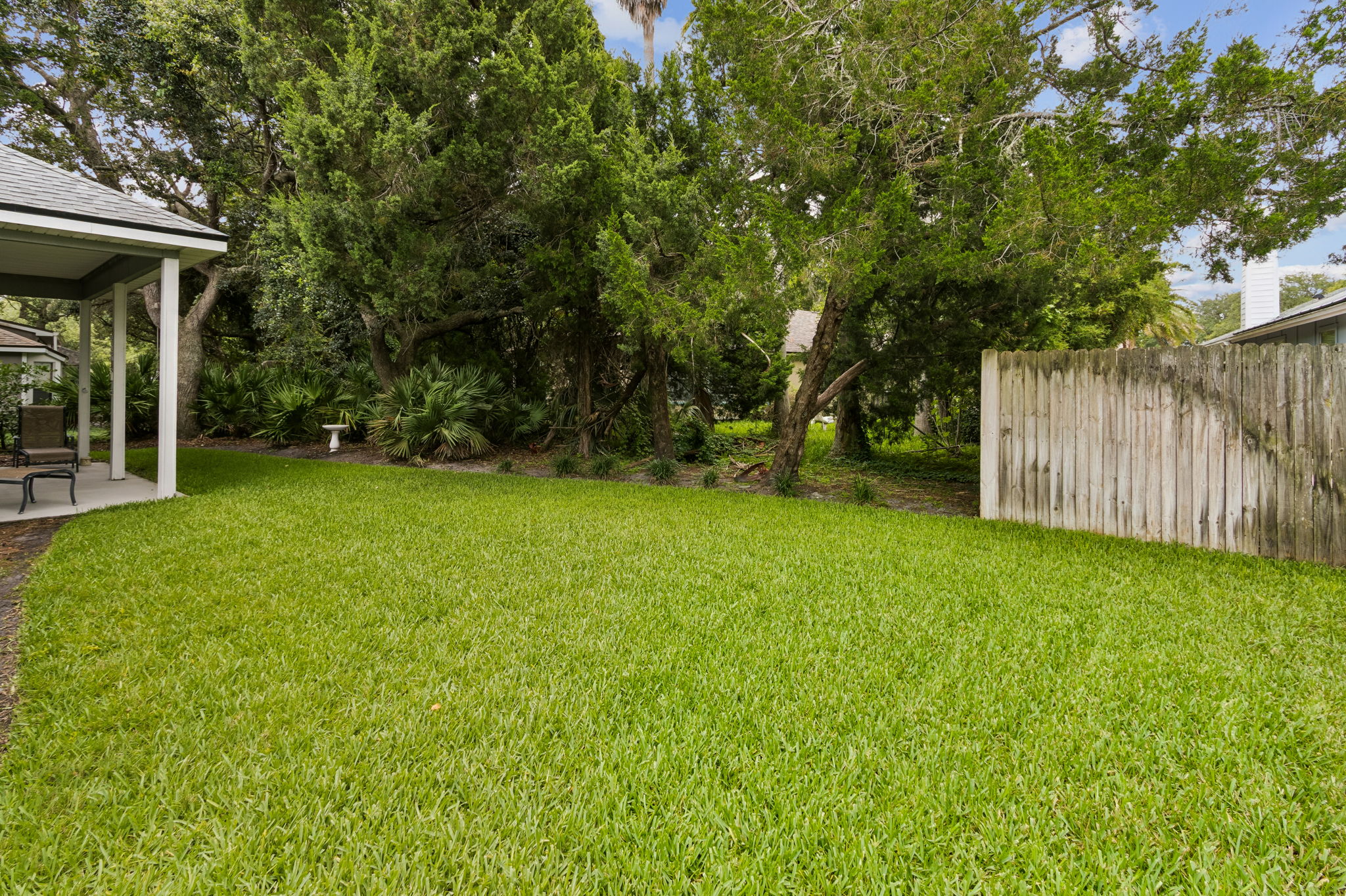 Backyard