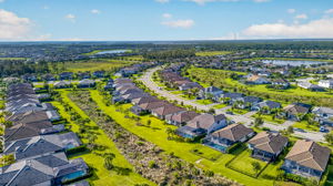 Aerial 6