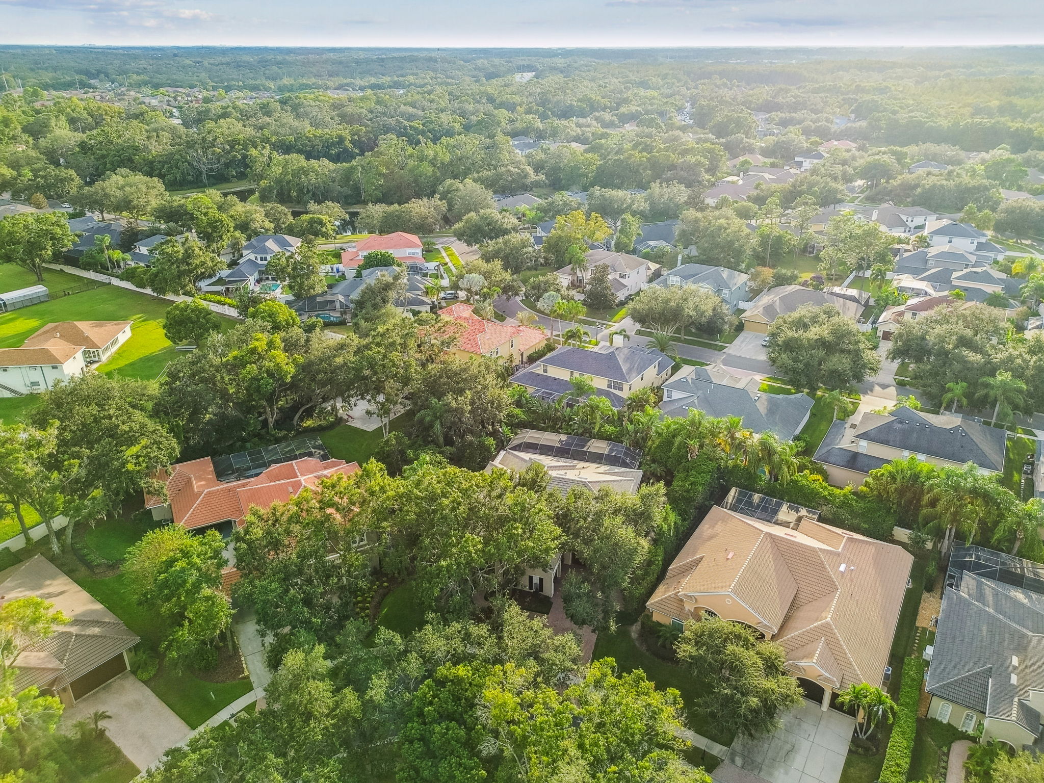 DJI_0537