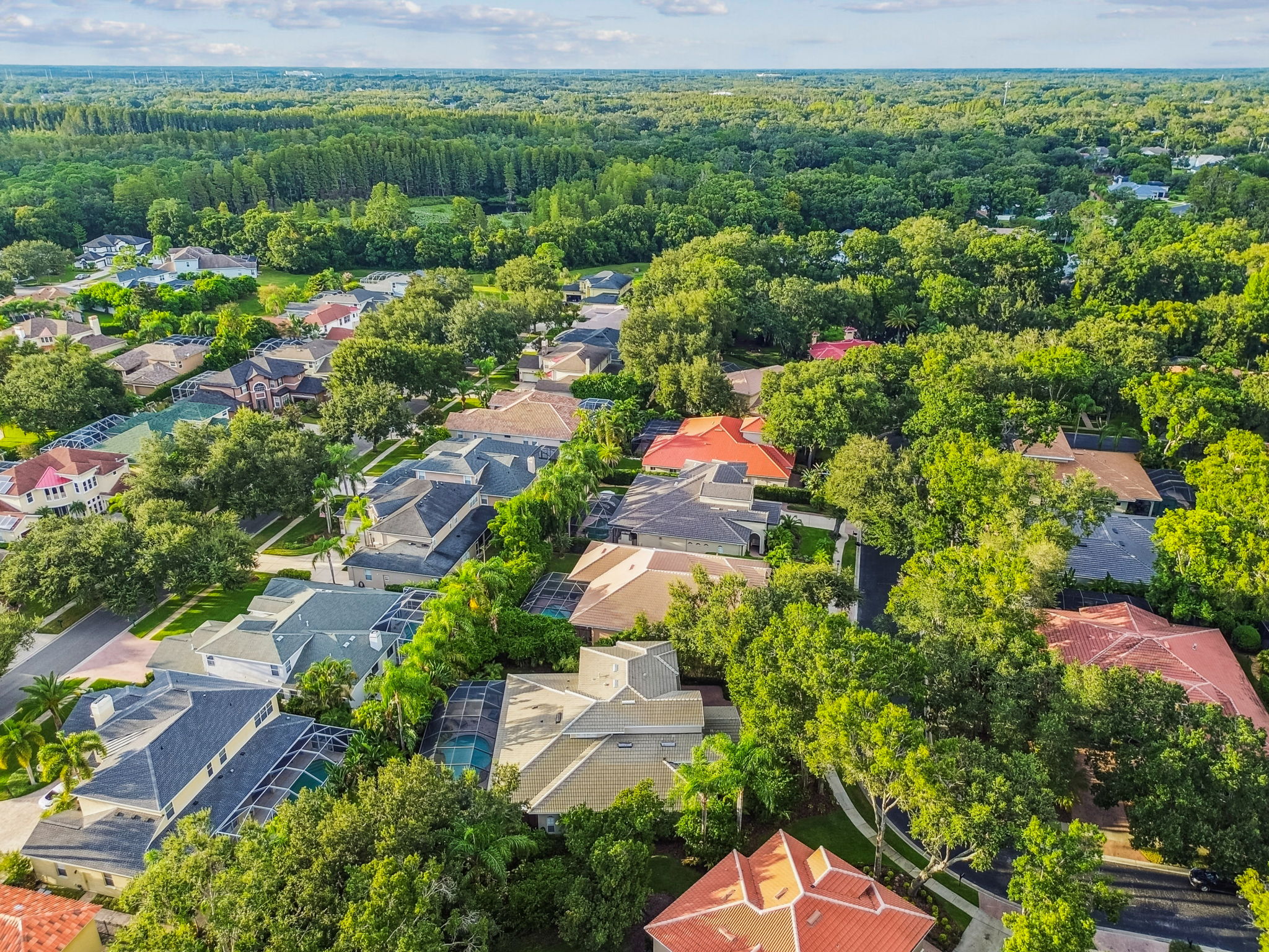 DJI_0552