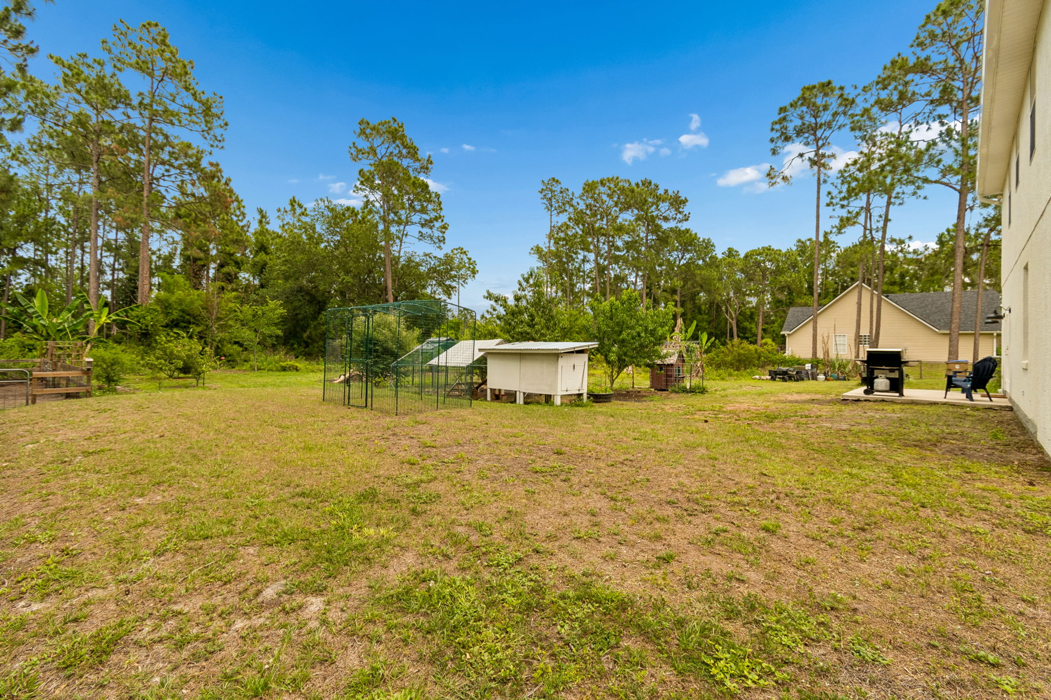 Back Yard