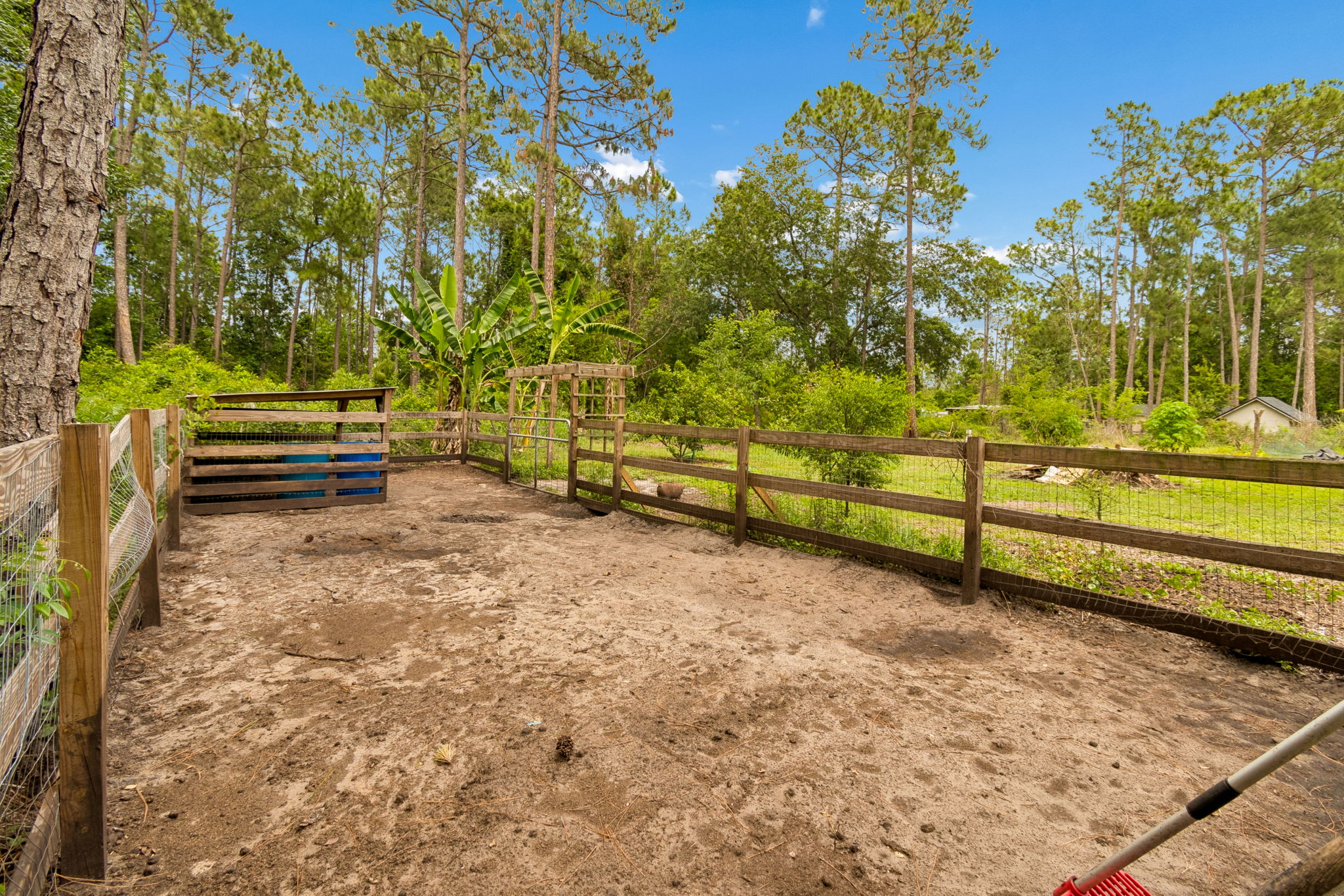 Back Yard/Pigpen
