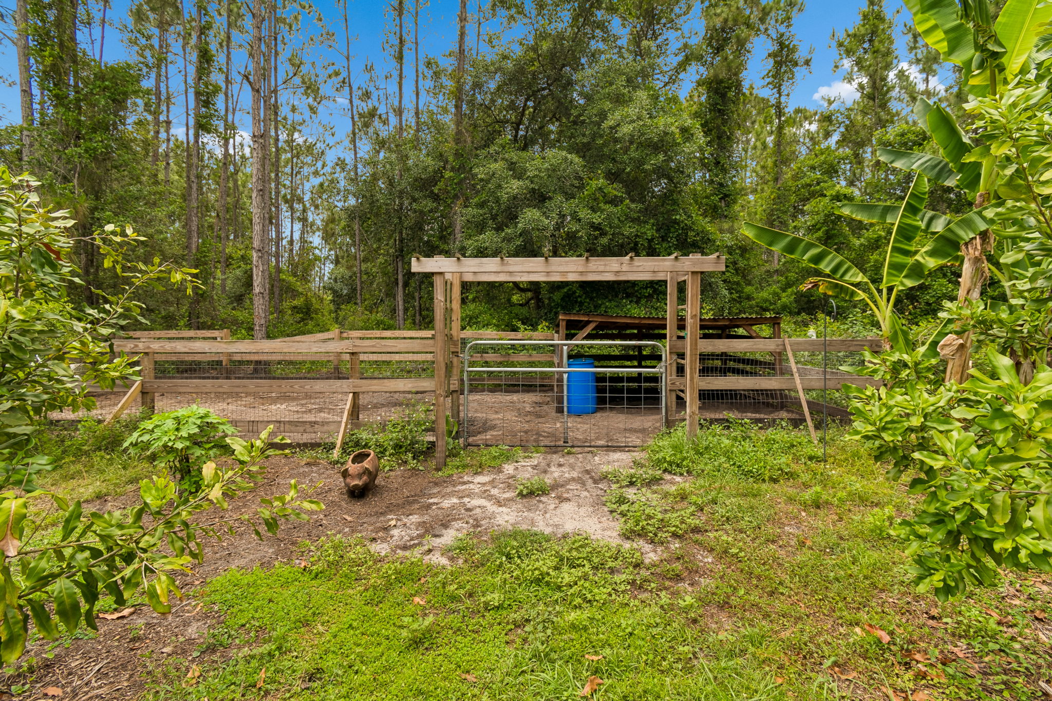 Back Yard/Pigpen